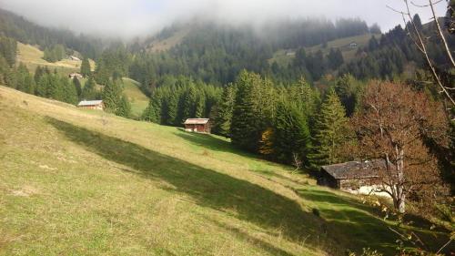 CHAMBRE d'HÔTE LA PETITE BERGERIE