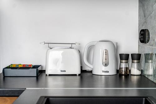 켄치에르진-코즐레 Apartament w centrum PW Invest Home 4성급 싱글룸 객실