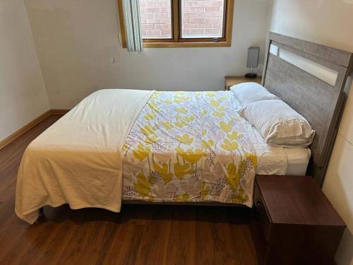 3BR 2BA Apt Near Rush Hospital in Chicago, USA