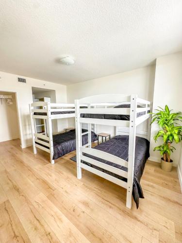 Shared Loft with City View, Gym, Pool in Downtown in Miami, USA