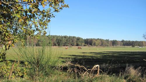 Ferienwohnungen Reetwinkel in Wieck