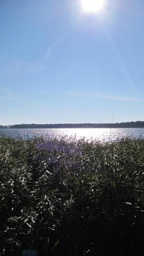 Ferienwohnungen Reetwinkel in Wieck