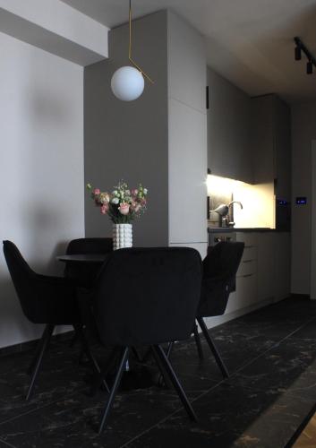 One-Bedroom Apartment image 10