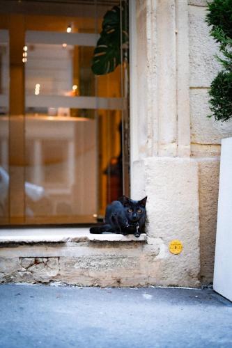 Hotel Vendôme Saint Germain - image 3