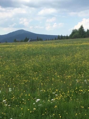 Cihlarka 301 in Krkonossky National Park