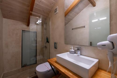 Panellinion Luxury Rooms - image 9