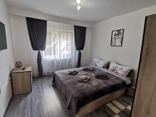 AKY Residence, Slănic-Moldova (foto 2)