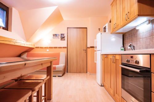 Konyha, Apartments Jasa in Mozirje
