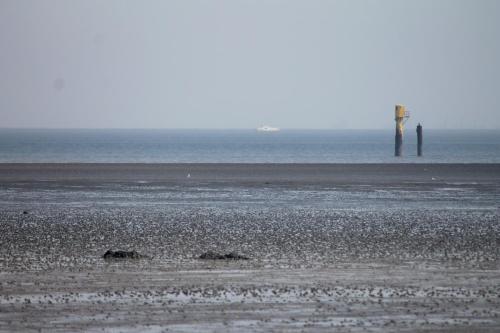 Hotel Schwarzer Adler Jever - image 9