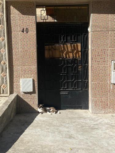 Entrance, DAR SHaMSY in Casabarata