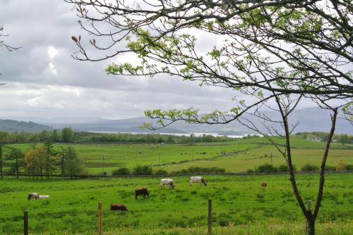 Shandon Farmhouse Bed and Breakfast