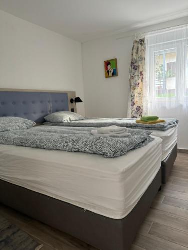 1 king bed, 1 sofa bed