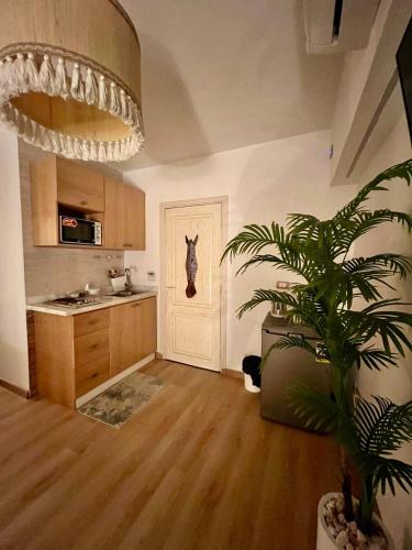 Paradise Studios Room Type - Luxury Triple Room