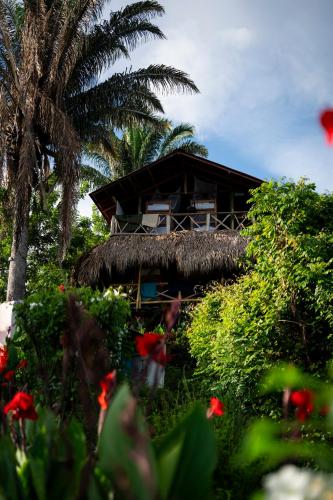 Зовнішній вигляд готелю, The Journey Hostel in Ла Поза