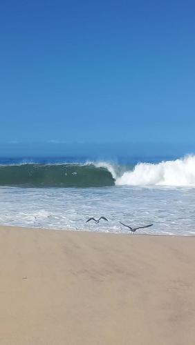 Entre o Mar e a Lagoa