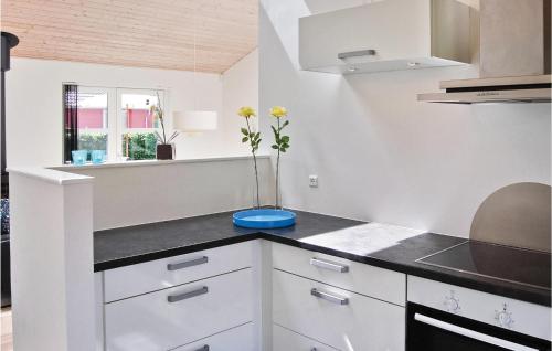 Konyha, Holiday Home Barsbæklund Aabenraa V in Aabenraa