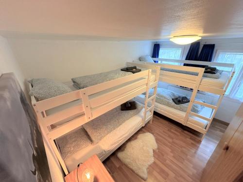 Ski-in, central and cosy in the Chalet Diana, free access to swimming pool, Bettmeralp (foto 9)