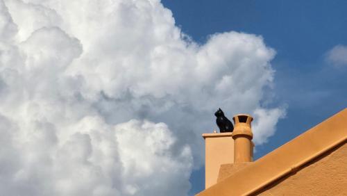 Central Authentic Old Town by Prince Palace Place Central Authentic Old Town by Prince Palace Place