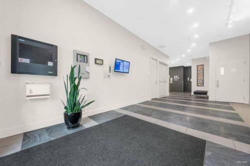 Beautiful 2Bedrooms Suite Downtown Free Parking in Vancouver, Canada