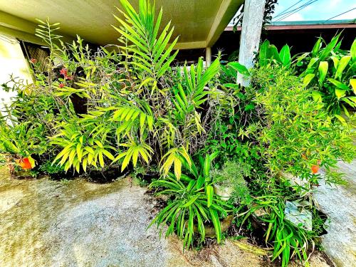 Fe'iloakimisi 2 in Nuku'alofa