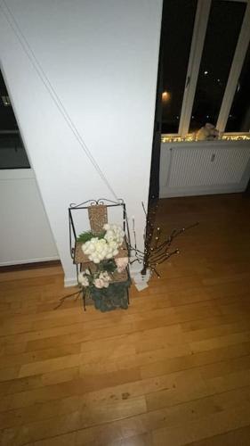 Pretty Apartment For 6 Guests Pretty Apartment For 6 Guests