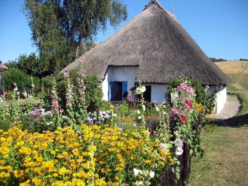 Ferienwohnung Moewennest mit Terra - image 14