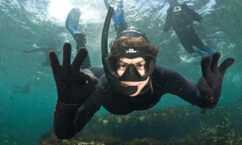 Watershack - Expansive ocean views, close to town