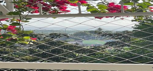 RedDoorz @ S and L Apartelle Daraga Albay - 정원