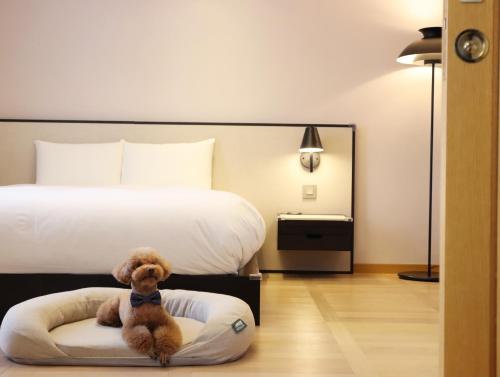 Pet Heritage Suite Ondol Room