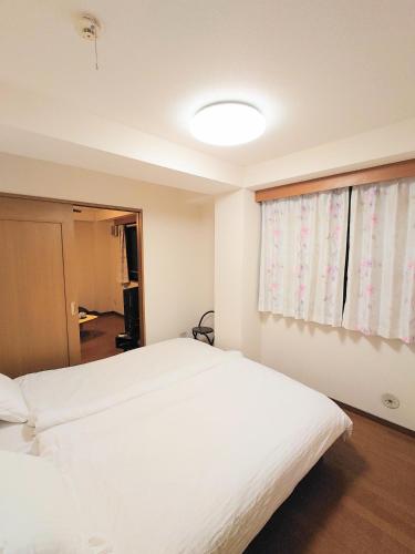 honeys guest house elevator , wash machine, huge closet space, private bathroom, walk to skytree in 10 minutes