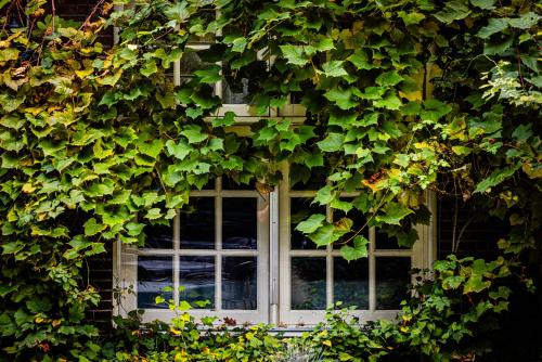 Kasteel Kerckebosch - main image