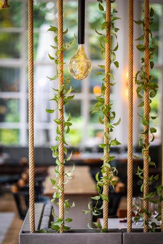 Kasteel Kerckebosch - image 14