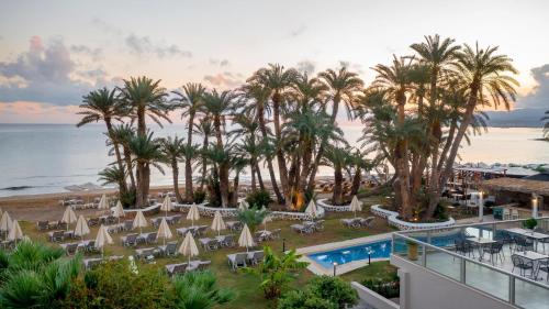 Garden, Zeus Hotels Palm Beach near Retro Malia