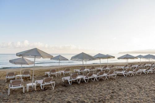 Beach, Zeus Hotels Palm Beach near Retro Malia