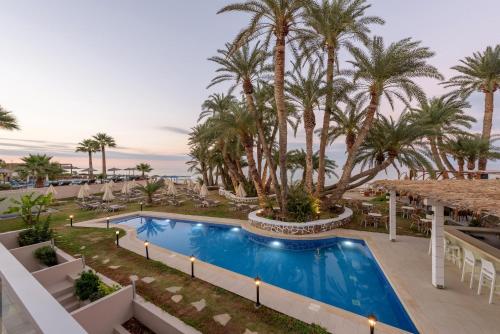 Swimming pool, Zeus Hotels Palm Beach near Retro Malia