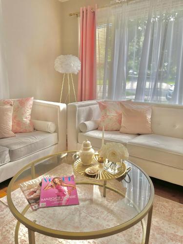 Pink Paradise in Charlotte, USA