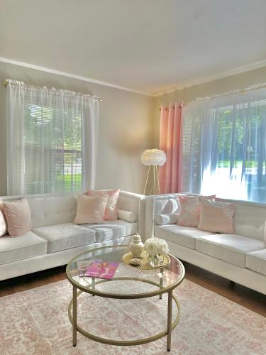 Pink Paradise in Charlotte, USA