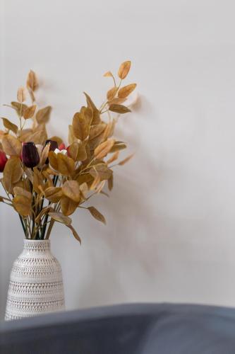 Le Piccole Lune di Monti - image 2