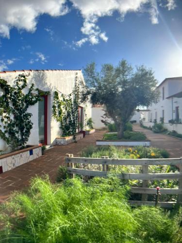 몬사라츠 Viva! Farmhouse 4성급 게스트하우스 전망