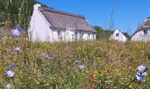 Corofin Lake Cottages - image 4