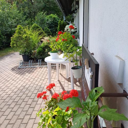 Pension Mark in Hoyerswerda