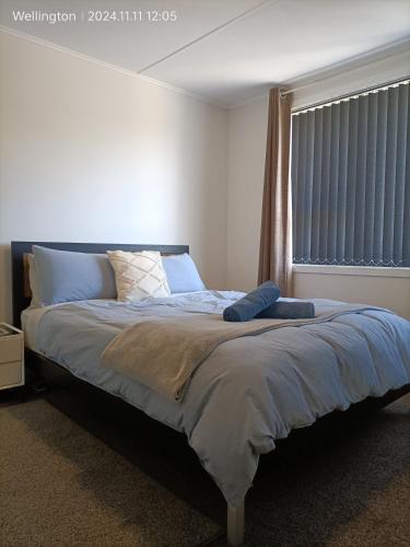 Comfy & Sunny home in Wellington--3 Heat Pumps, Wellington (foto 9)