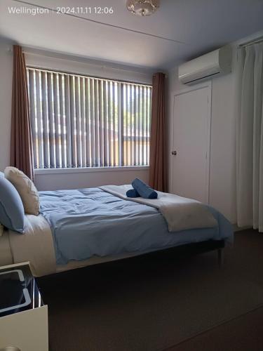 Comfy & Sunny home in Wellington Comfy & Sunny home in Wellington