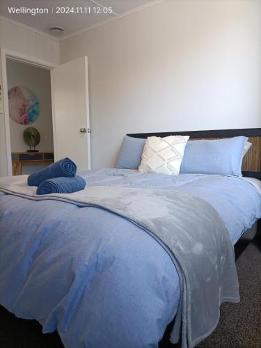 Comfy & Sunny home in Wellington--3 Heat Pumps, Wellington (foto 8)