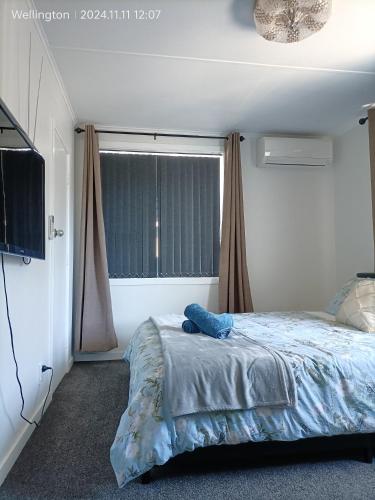 Comfy & Sunny home in Wellington--3 Heat Pumps, Wellington (foto 6)