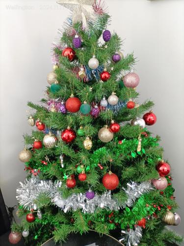 Comfy & Sunny home in Wellington Comfy & Sunny home in Wellington