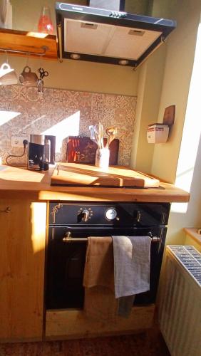 Ferienwohnung ANTIK in 哥達市中心