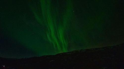 Trilodge - Unique cabin with high standard, views, ski in & out, attractive location