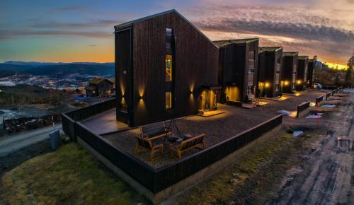 Trilodge - Unique cabin with high standard, views, ski in & out, attractive location