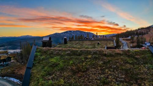 Trilodge - Unique cabin with high standard, views, ski in & out, attractive location